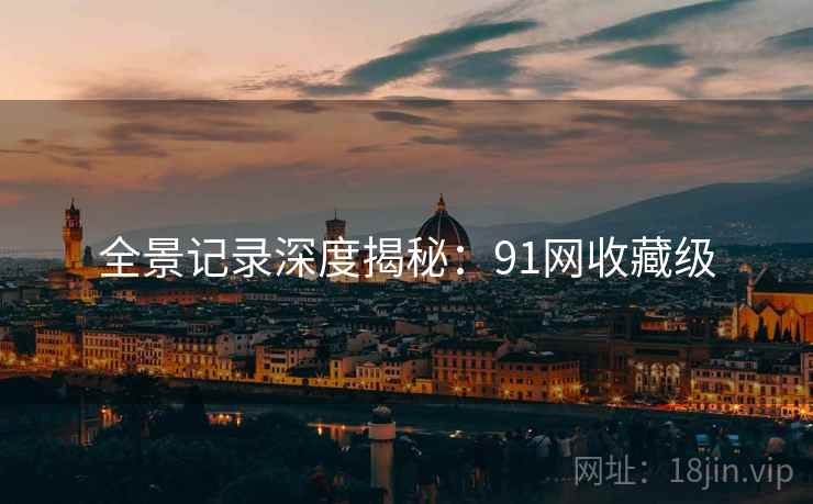 全景记录深度揭秘：91网收藏级